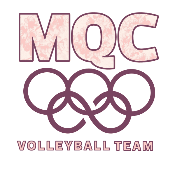 Club Voleibol IES Las Encinas